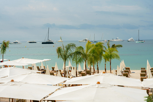 Beach in Cannes (French Riviera) with sun loungers and umbrellas, small palm trees and white sand and yachts (sailboats) in the distance . Idyllic summer in august!