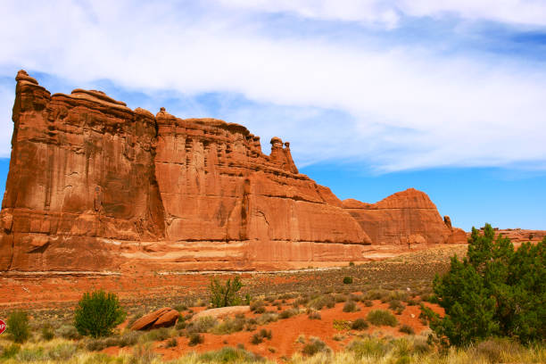 istock Cactus, sand, red rock , giant structures, Arches National Park, Utah, USA 1428458813