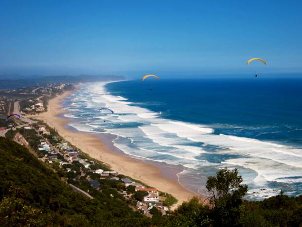 istock Paraglide in South Africa 1428460394