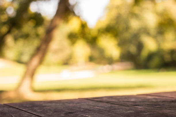 Wooden tabletop in the nature blurred background