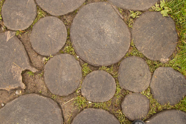 istock Road from wooden round logs as a background 1428462709