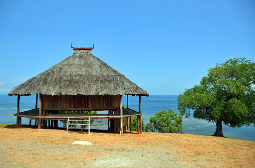 Tibar bay, Liquiçá municipality, East Timor / Timor Leste: traditional timorese house on stilts with pyramid thatched roofs with horns and walls made of bamboo and areca palm. Uma fukun / uma lulik style.