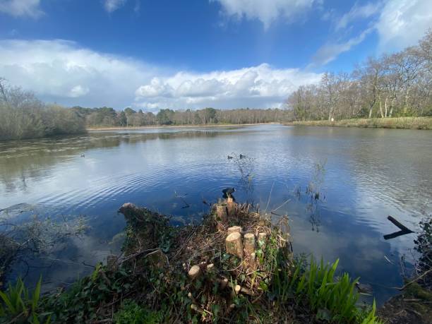 istock Stover country park in spring 1428463227