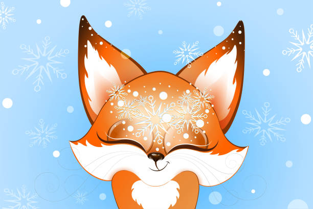 bildbanksillustrationer, clip art samt tecknat material och ikoner med fox close up winter - red fox snow