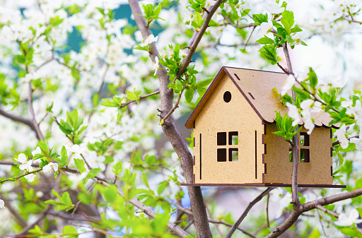 Wooden house model on a blooming tree outdoors. Spring buying season concept.