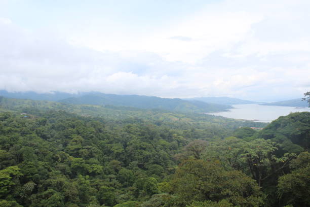 istock Costa Rican Landscape 1428468550
