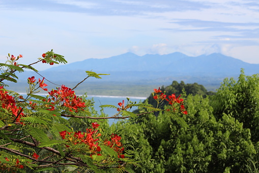 Costa Rican Landscape