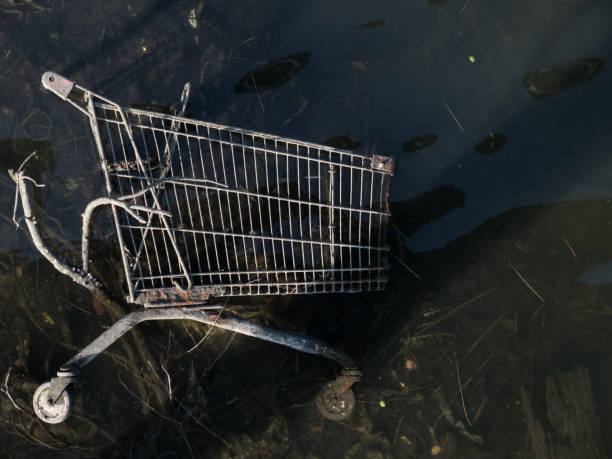 istock Discarded shopping cart appears in the low tide river. 1428470963