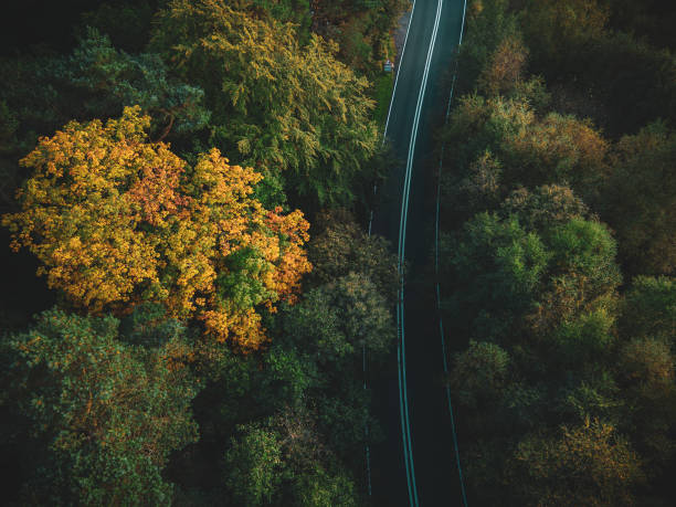 istock Autumn Stirlingshire, Scotland 1428475747