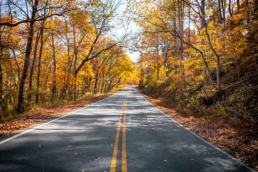 A canopy of Fall colors covers this long stretch of highway near Blanchard Springs, Arkansas.