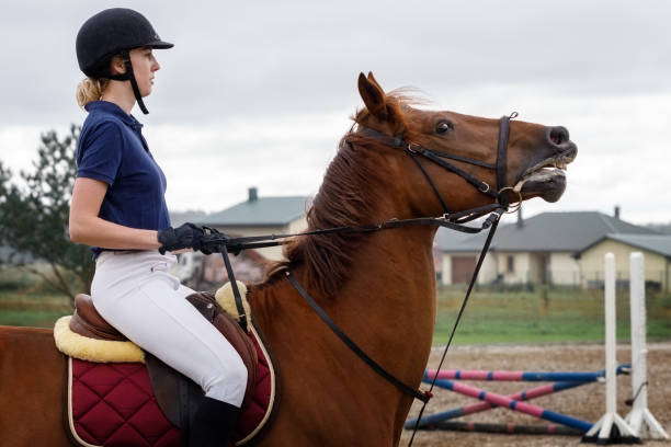 istock A young girl rides a brown horse, pulls on a leash to stop him 1428478467