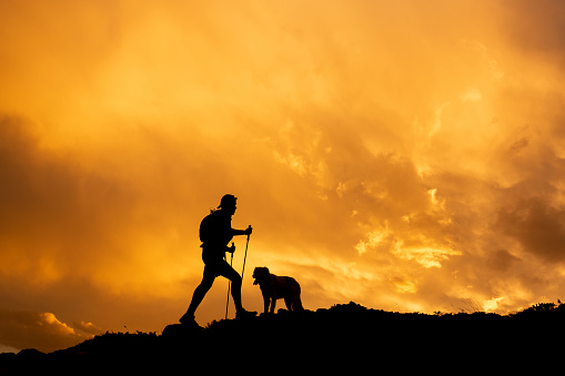 Silhouette of a man hiking with his dog against orange sunset. Active and healthy lifestyle concept.