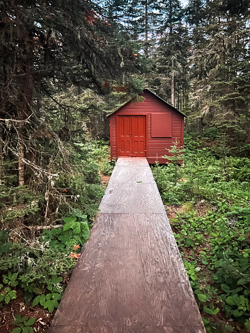 A wooden bridge walkway leads to a red shed in the middle of an old growth forest. Tall pine and evergreen trees and green plants surround the shed. Feels very remote. Located in the Upper Peninsula of Michigan.