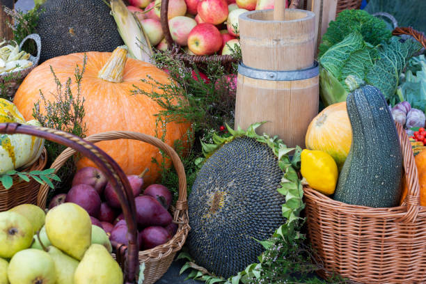 composición de frutas y verduras frescas en cestas de mimbre. concepto de alimento orgánico - agriculture autumn apple greengrocers shop fotografías e imágenes de stock