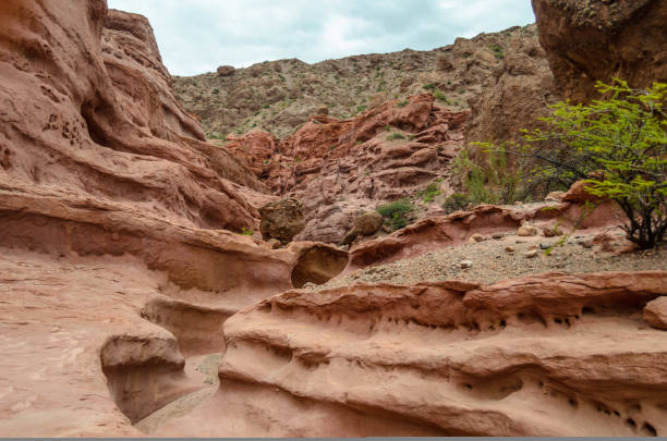 Quebrada de las Conchas - Shell's Ravine near Cafayate, Salta, Argentina.