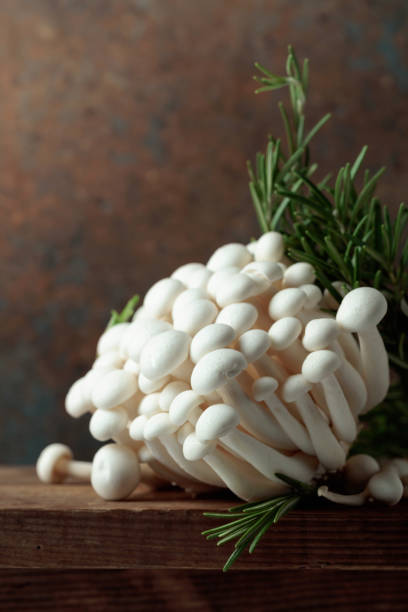 istock Shimeji mushrooms with rosemary. 1428492334
