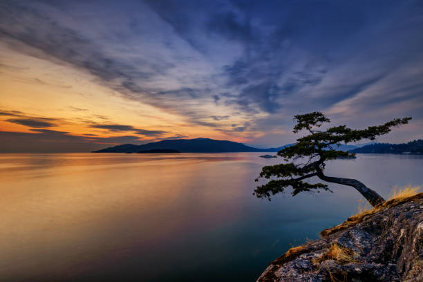istock sunset at Juniper Point, Lighthouse Park, West Vancouver, BC, Canada 1428502731