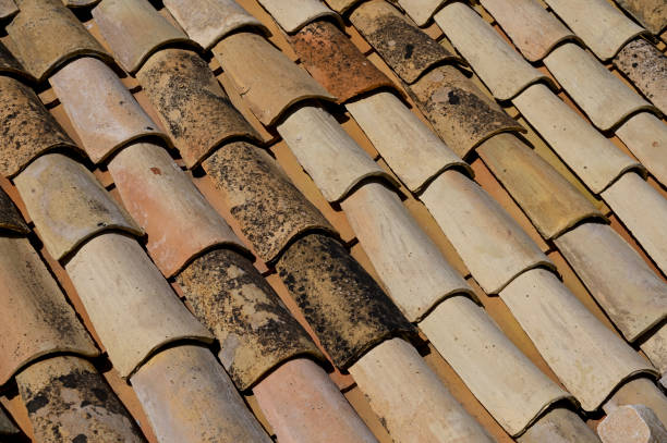 istock Roof tiles 1428503919