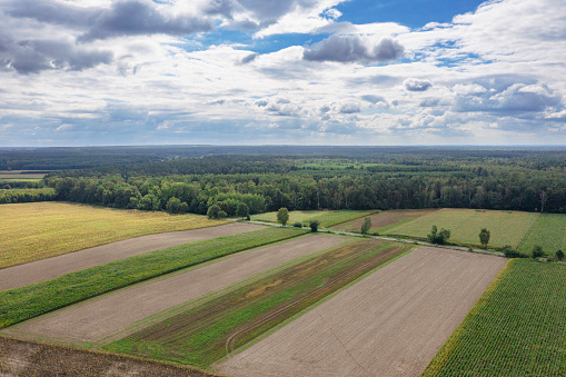 Aerial view of farmland, cloudy sky in early autumn.