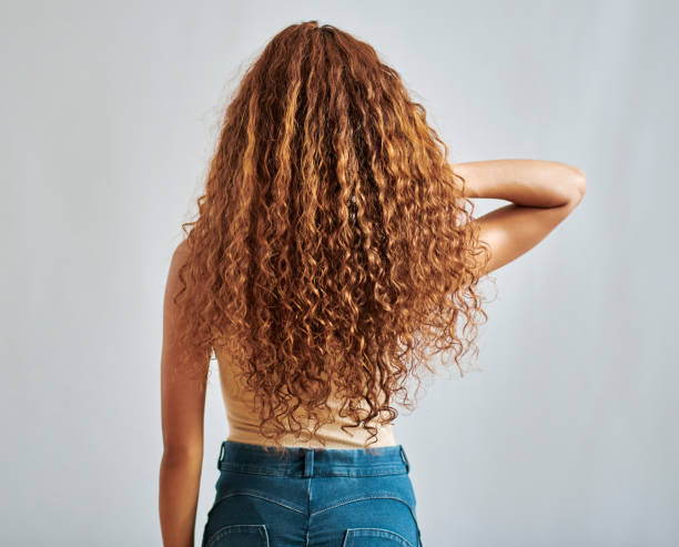 Young, black woman with hair that is curly and a back view. Female model with natural, healthy and long hair to show hair care and hair products. Growth, shine and hair treatment Portrait of black woman with hair that is curly and her back to the camera. Young female with natural, healthy and long hair to show hair care and hair products. Growth, shine and hair treatment black woman hair extensions stock pictures, royalty-free photos & images