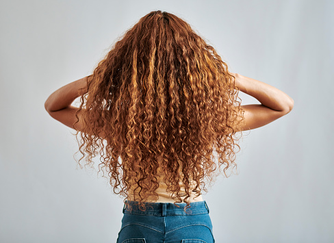 Woman with healthy, natural and ginger hair with relax curly, auburn or red beauty hairstyle back view. Shampoo salon hair care or redhead girl playing with clean red hair isolated on grey background
