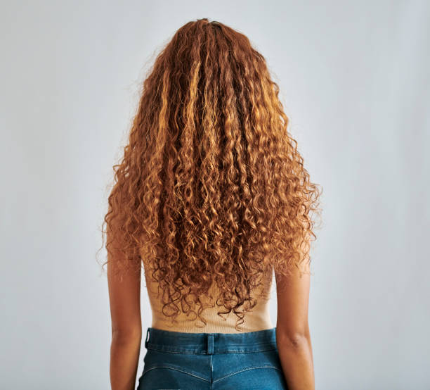 natural, healthy hair of woman show growth, texture and health in studio. female from brazil with wave hairstyle extension, weave or curly textures in a beauty salon perm style with white background - beautiful red hair curly hair human hair imagens e fotografias de stock