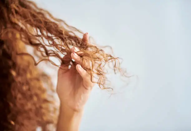 Portrait of woman with natural, damaged hair and curly hair. Girl with fingers in tips to show damage from hair treatment, split ends and dry hair. Hair products, care and repair for healthy hair