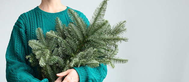 Women's in green pullover holding Christmas evergreen spruce Danish branches for make decoration. Festive decoration for Xmas holiday. Banner with copy space on white background.