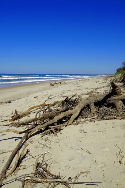 istock Manning Point, NSW, Australia 1428520373