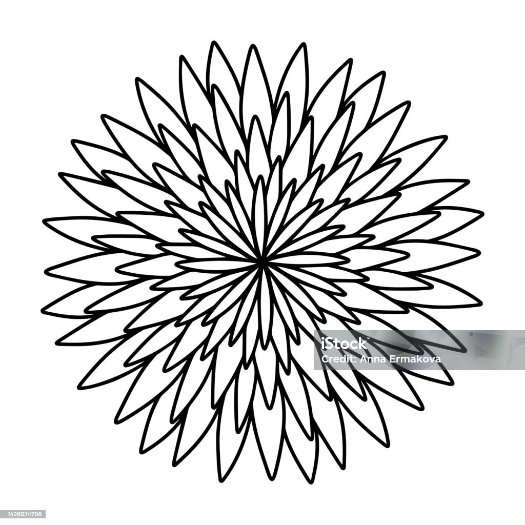 Daster Vector Fleur Daster Symétrique Dans Le Style De Doodle De Dessin Animé Dessiné ...