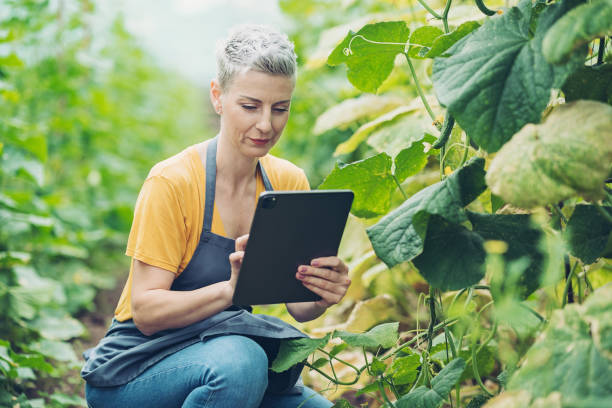 istock Mobile applications to aid organic farmers 1428531532