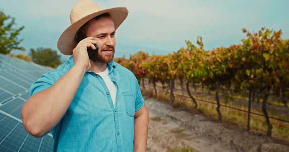 Vineyard, farmer and agriculture worker on a phone call with an industry business partner. Sustainable, eco friendly and agro man standing on a wine farm with solar panels on a mobile conversation.