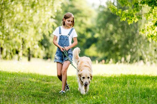 Cute little girl with lovely dog walking on summer meadow