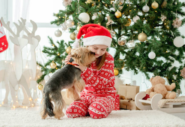 istock Child in Christmas time 1428537839