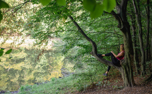 istock Woman Sitting on a Tree Branch 1428538184