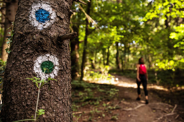istock Woman On a Hike in Nature 1428538195