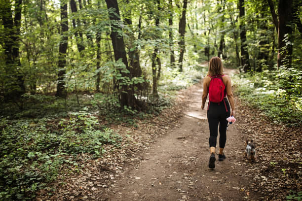 istock Woman Hiking With Her Dog 1428538230