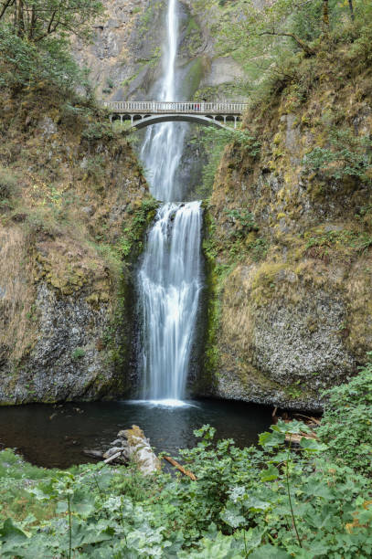 istock Multnomah Falls Columbia River Gorge 1428541766