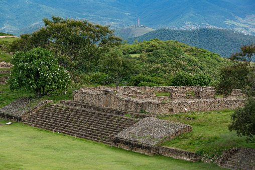 The Palace, a complex of several connected and adjacent buildings and courtyards, was built by several generations on a wide artificial terrace during four century period. The Palace was used by the Mayan aristocracy for bureaucratic functions, entertainment, and ritualistic ceremonies.