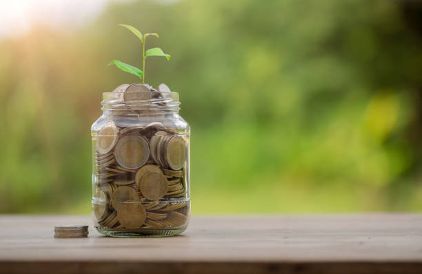 istock Money coin stack growing graph with glass jar saving concept. business finance and saving money investment, plant growing up on coin. Balance savings and investment. save retirement for interest idea 1428553002