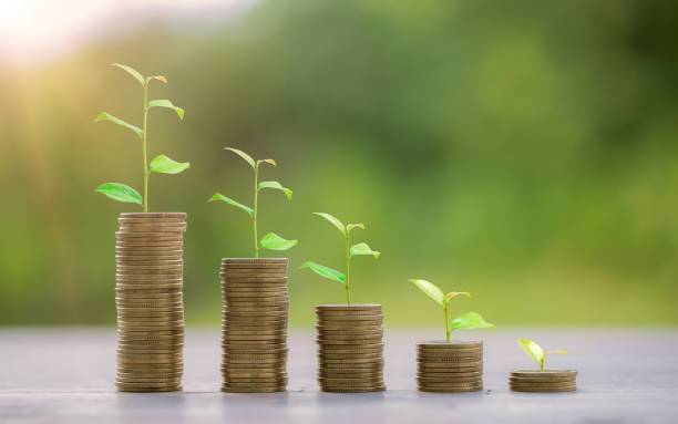 Money coin stack growing graph for saving concept. business finance and saving money investment, plant growing up on coin. Balance savings and investment. save retirement for interest idea gráfico de crecimiento de la pila de monedas de dinero para el concepto de ahorro. finanzas empresariales y ahorro de dinero inversión, planta creciendo en moneda. equilibrar el ahorro y la inversión. ahorrar la jubilación por interés idea