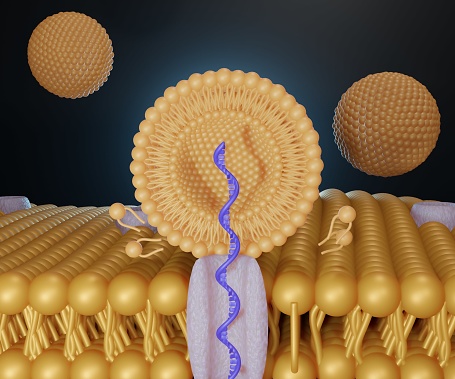 liposome RNA transfer into cell's membrane 3d rendering