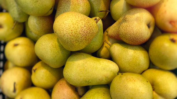 istock Yellow background with fresh pears. 1428559023