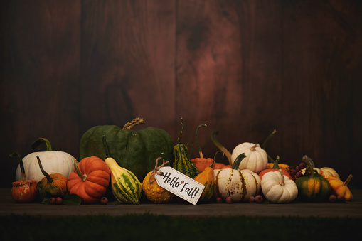 Large collection of pumpkins and gourds in a dark moody setting for Thanksgiving and fall with space for text