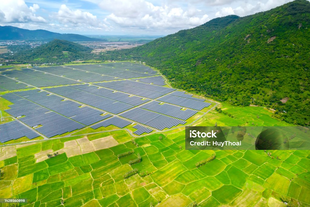 Solar Rice Rice Fields Interspersed With Solar Power Fields In The Morning Stock ...