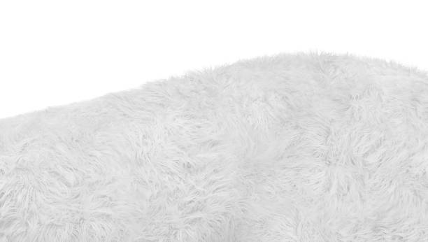 istock Close up of white fur backgraound texture 1428561737