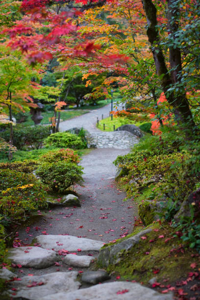 istock Japanese Garden 1428570347