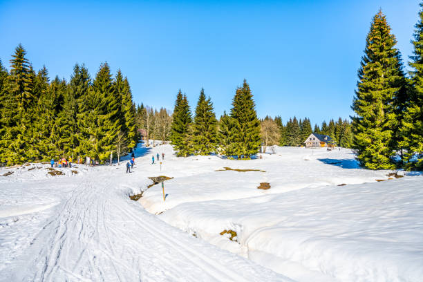 istock Cross-country skiing in Jizera Mountains 1428572066