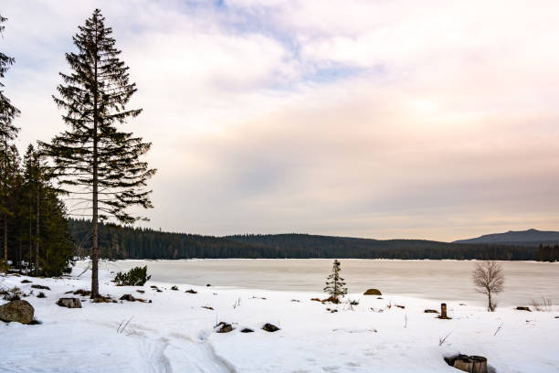istock Dam on Cerna Nisa in winter time 1428572068
