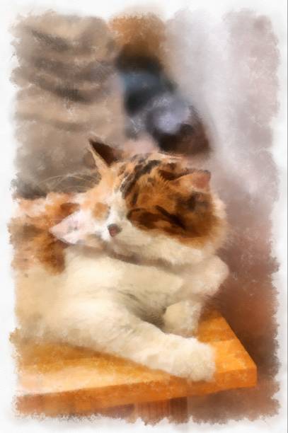 istock Cats in various cute poses watercolor style illustration impressionist painting. 1428586968